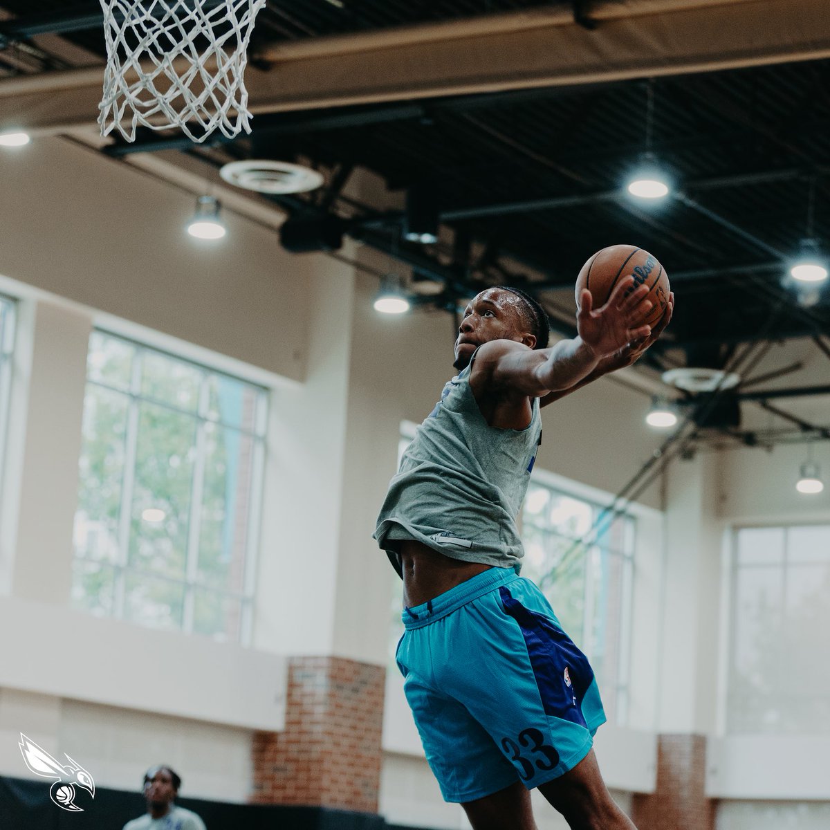 Charlotte Hornets tweet media