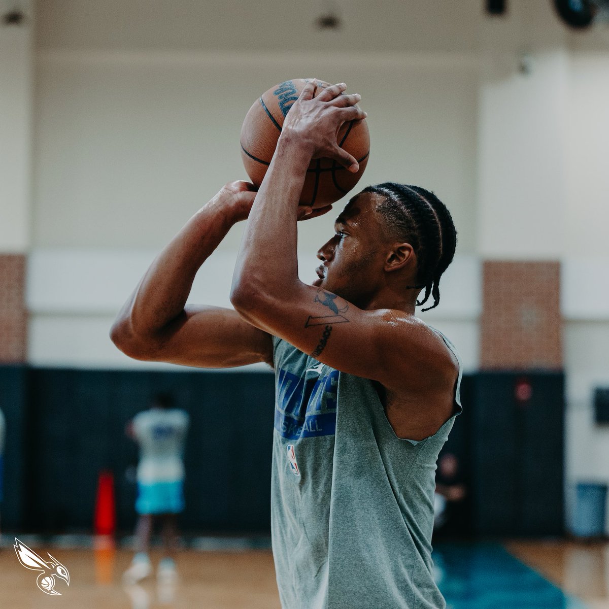 Charlotte Hornets tweet media