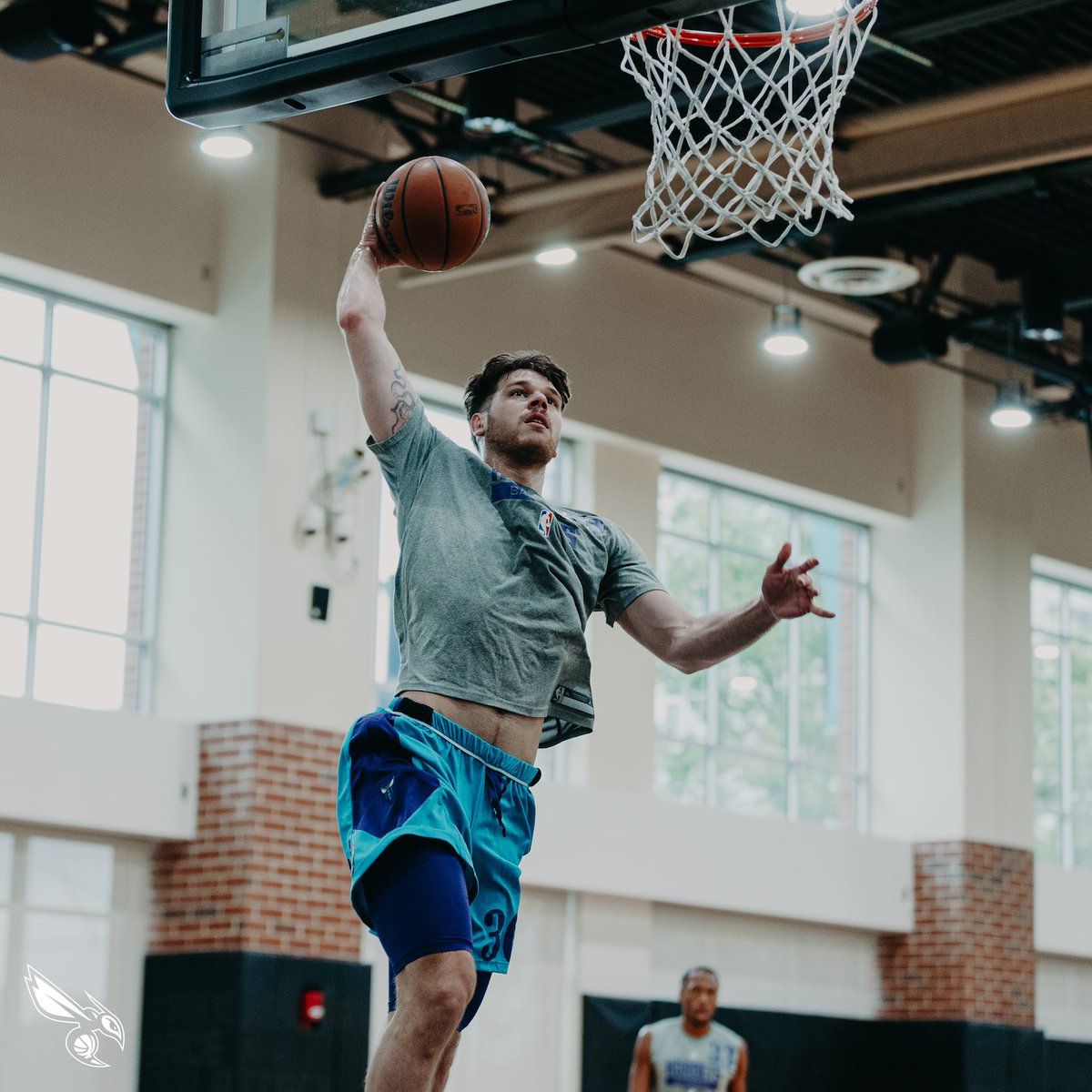 Charlotte Hornets tweet media