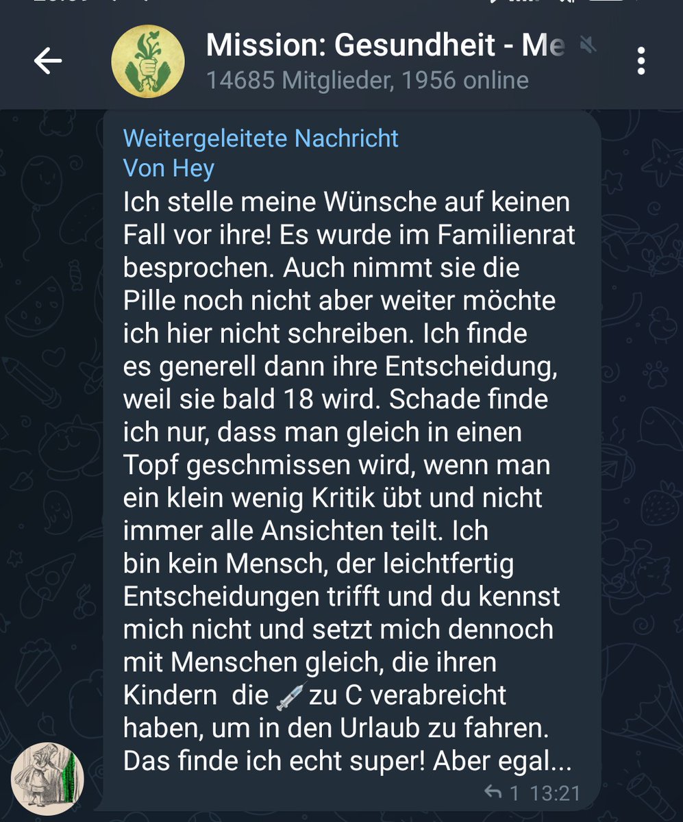 Reichsflugscheiben Flugschule Neuschwabenland e.V. on Twitter "Das wird 100tig funktionieren