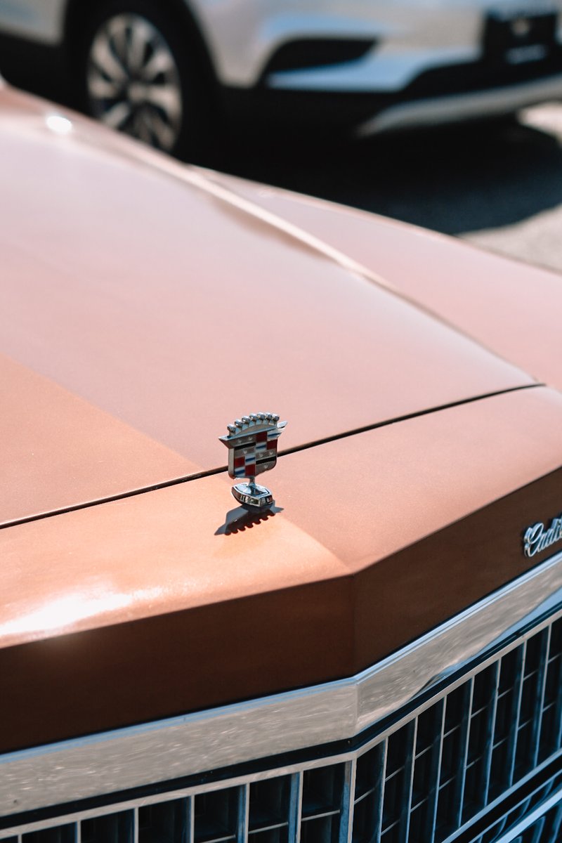 Throwback Thursday ⏳
What classic Cadillac is your favourite? Let us know in the comments below 👇🏼

.
#cadillac #caddy #classiccars #classiccarsdaily #carsunlimited #carphotos #carsdaily #carsofig #classiccaroftheday #cadillaclife #vintagecars #vintageaesthetic #dreamcars