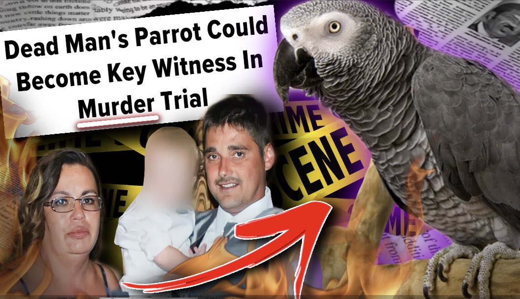 SurpriseWitnes's tweet image. All new #studybreak at 3:30PM TODAY!