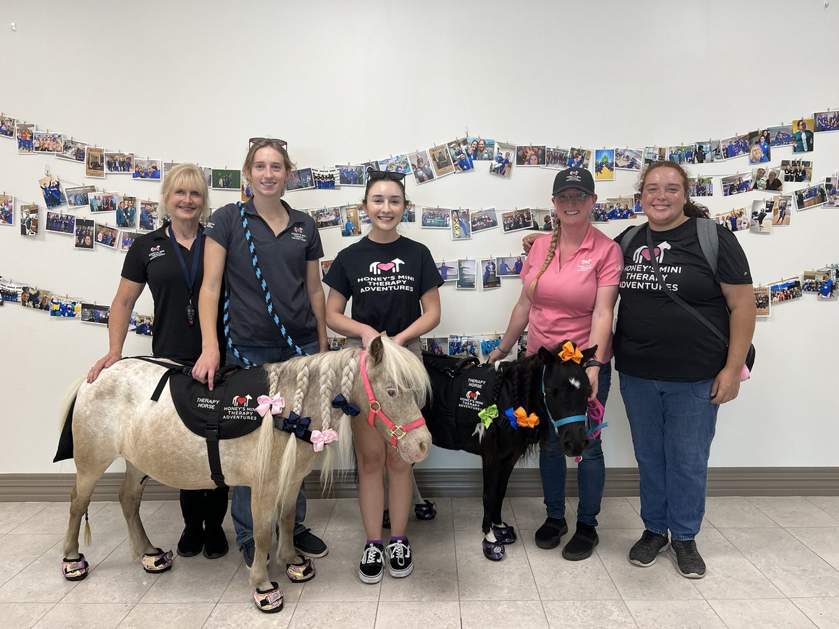 Honeys Mini Therapy Adventures tweet media