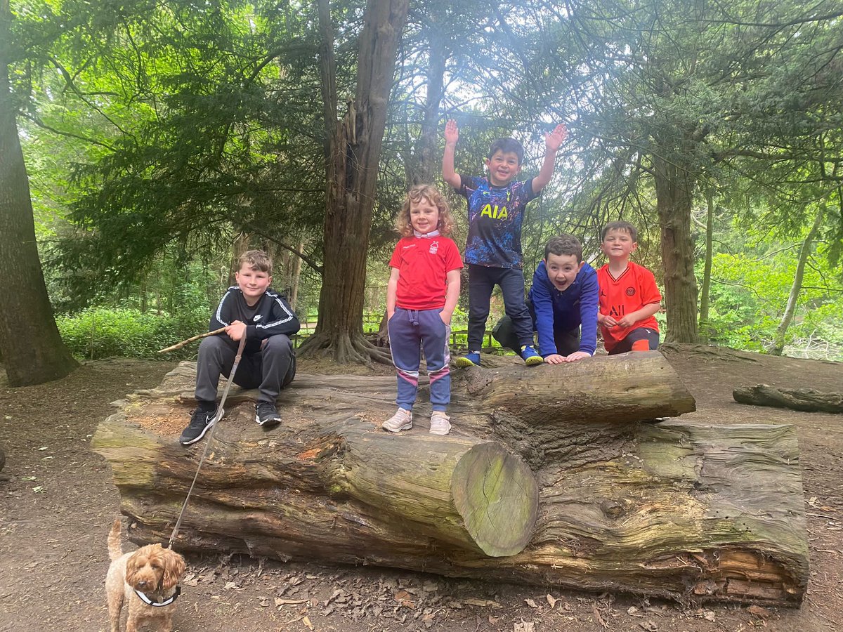 Lovely family picnic at Elvaston Castle today, followed by cricket, football and an ice cream 🍦 <a href="/PaulSaxton17/">Paul Saxton</a> <a href="/nicchambers16/">Nicola Chambers</a> <a href="/MissPerryLW/">Willow Tree Class</a> @LWMrsNaik <a href="/LadywoodKH/">Ladywood Primary and Nursery School</a> <a href="/MissWheeldonLW/">Miss Wheeldon</a> #family5 #embarkawards