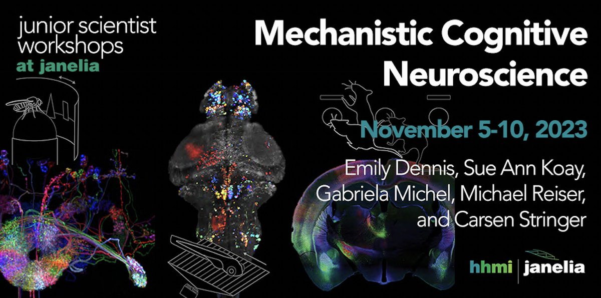 Carsen Stringer @Computingnature@neuromatch.social (@computingnature) on Twitter photo Grad students and postdocs, come present your neuroscience research at <a href="/HHMIJanelia/">HHMI | Janelia</a> from Nov 5-10 (before SfN, we're near DC!) All model organisms welcome, all ideas/work welcome 🐭🐟🪰🪱🐦🐒
<a href="/emilyjanedennis/">Dr. Emily Jane Dennis</a> <a href="/sueannkoay/">Sue Ann Koay</a> <a href="/gabymychel/">Gabriela Michel</a> <a href="/MichaelBReiser/">Michael Reiser | michaelreiser.bsky.social</a> Grad students and postdocs, come present your neuroscience research at <a href="/HHMIJanelia/">HHMI | Janelia</a> from Nov 5-10 (before SfN, we're near DC!) All model organisms welcome, all ideas/work welcome 🐭🐟🪰🪱🐦🐒
<a href="/emilyjanedennis/">Dr. Emily Jane Dennis</a> <a href="/sueannkoay/">Sue Ann Koay</a> <a href="/gabymychel/">Gabriela Michel</a> <a href="/MichaelBReiser/">Michael Reiser | michaelreiser.bsky.social</a>