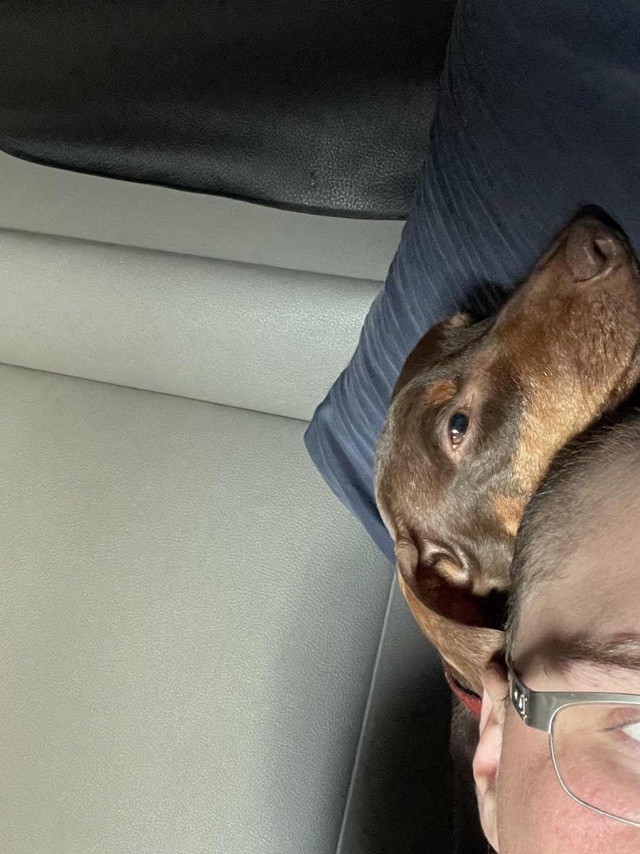 Your personal space is his personal space. #DogsOnTwitter