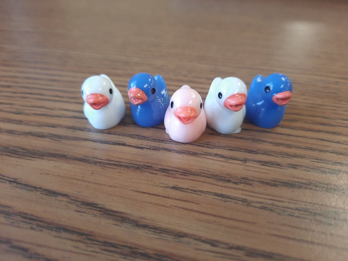 A nice little break from grading to go duck hunting! Thanks seniors! I need a green one, though! <a href="/KMKometsHS/">KassonMantorville HS</a>