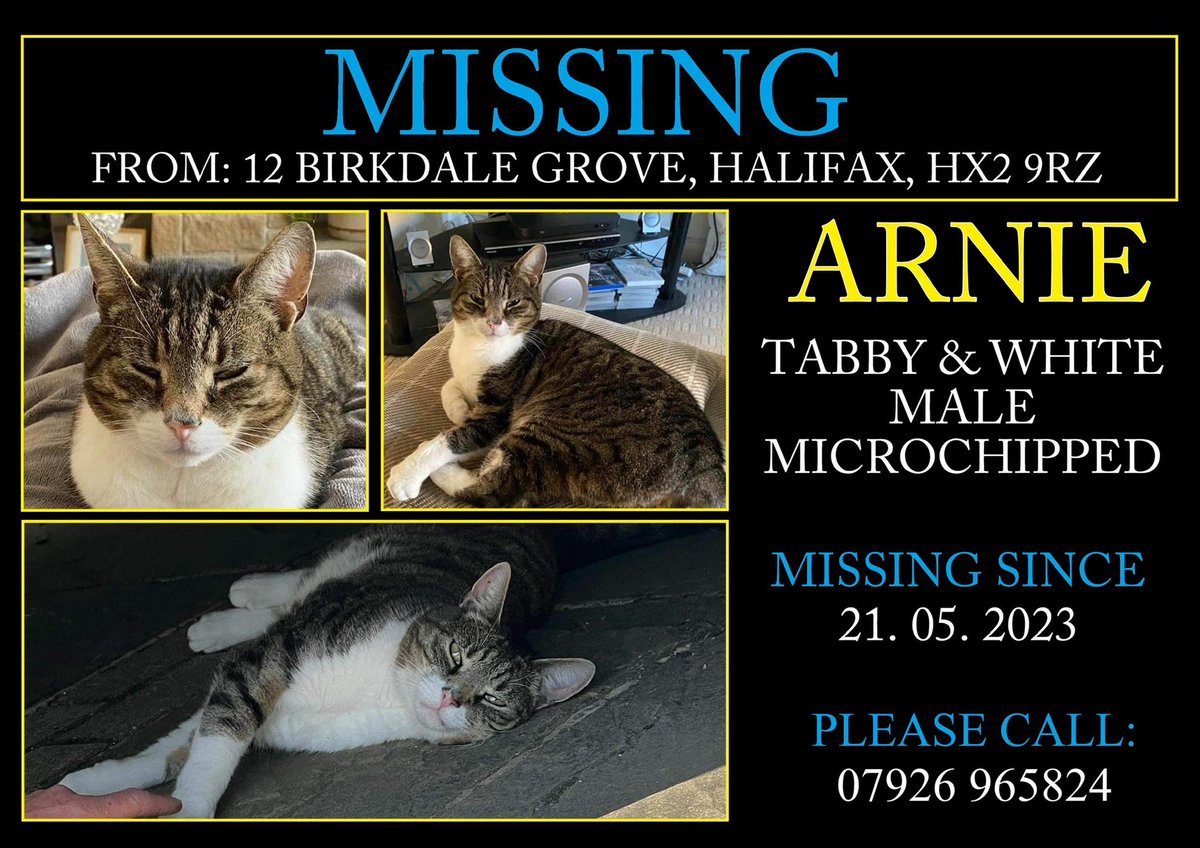 #MissingCat #Halifax please could you repost to help find him. His mum Is beside herself. @RSPCAhx @HalifaxFCWomen @Halifaxparkrun @TheMalonesGB @lusardiofficial @CatsProtection