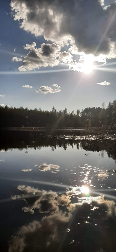 You wish you were in Finland? All pics taken late May 2023 #Kolinalue #Finland #amazingplaces #travelgoals #discoverfinland