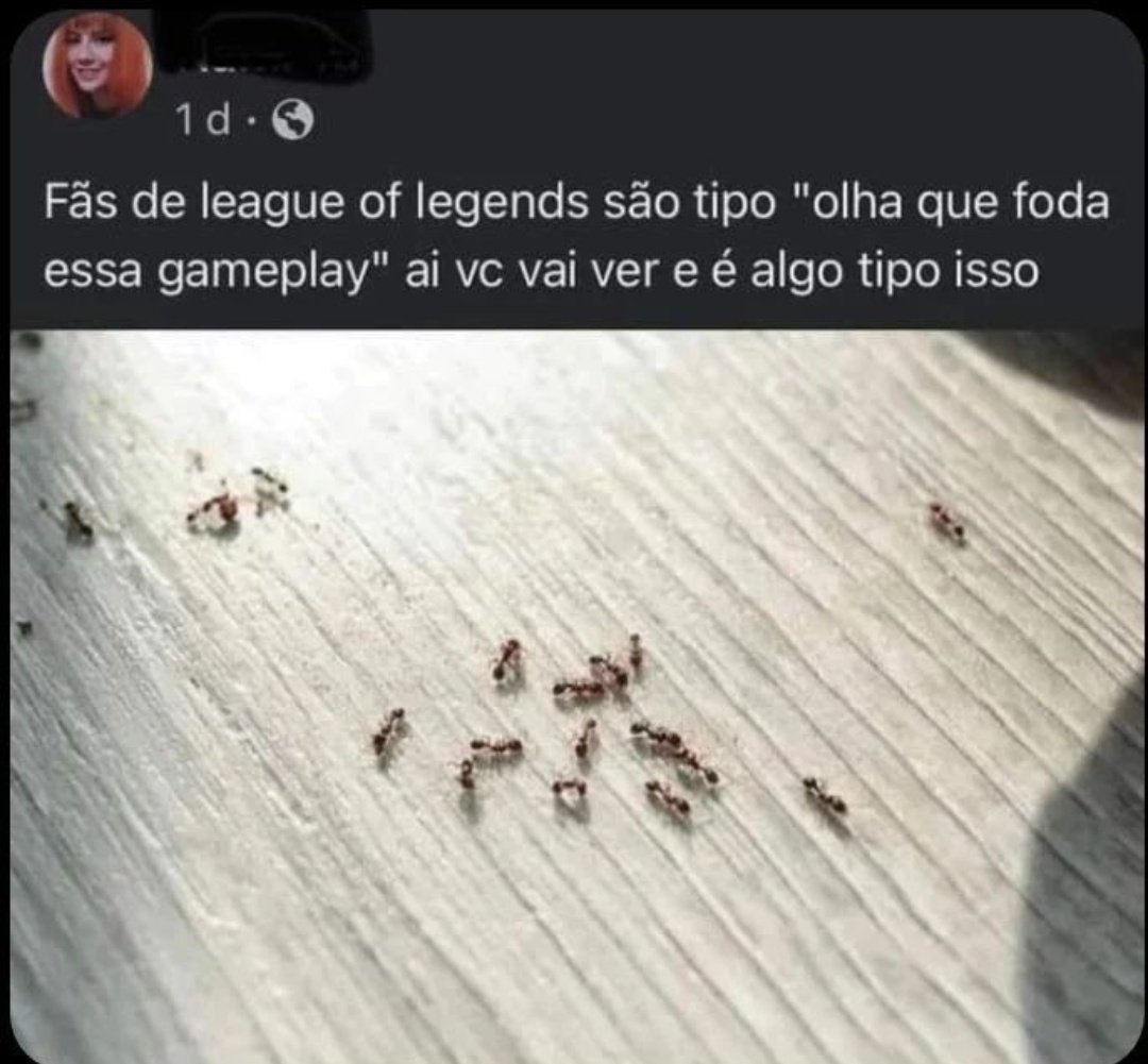 shitpostverdade's tweet photo. https://t.co/J4ApDCmlEW