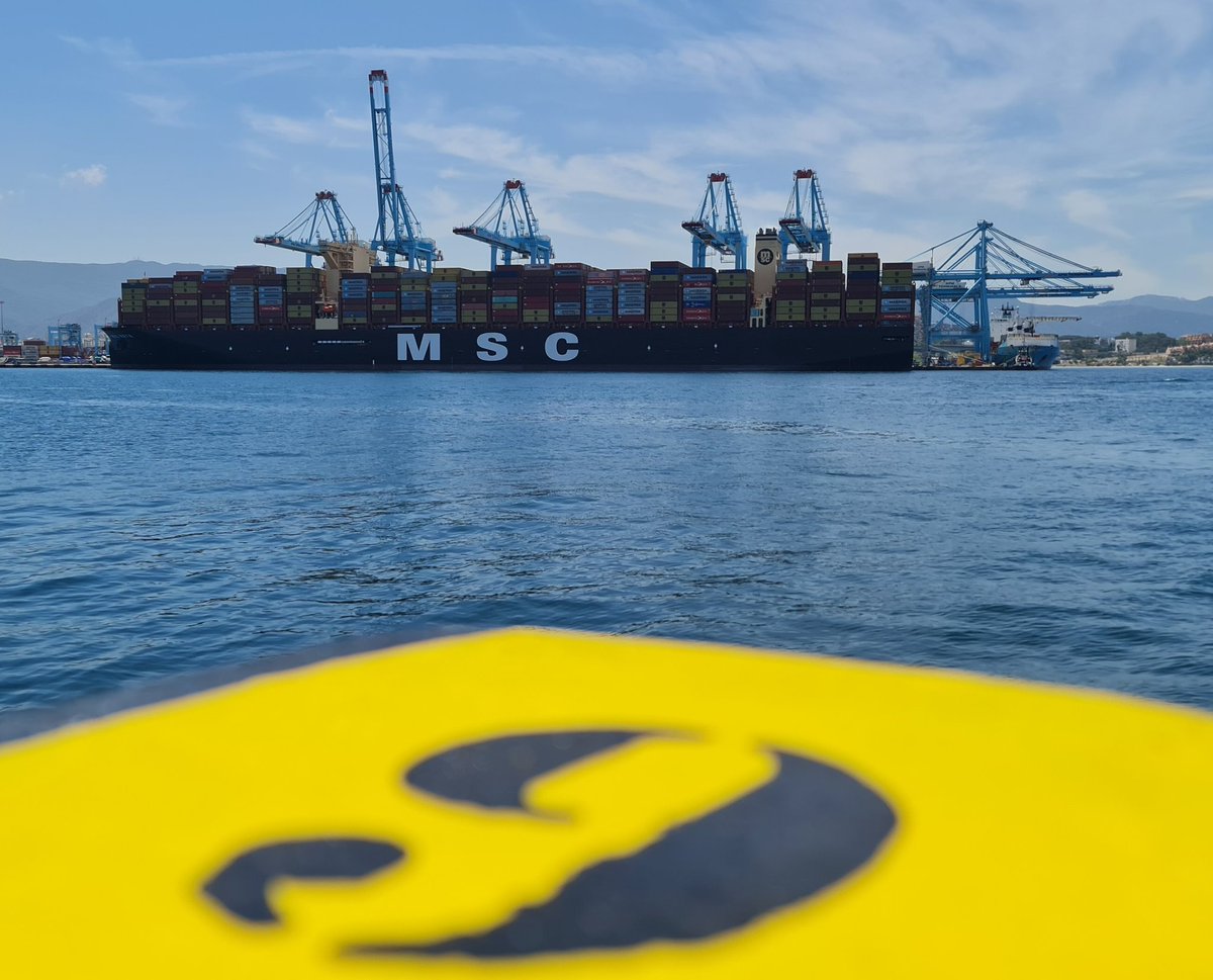 PuertoAlgeciras's tweet photo. 🚢 El tamaño de los #megaships sigue creciendo. 

📷 Hoy en el Puerto de #Algeciras #MSCRaya (24.100 teus). A la derecha de frente, el feeder #MaerskYorktown (2.096 teus)
🟡 Y el lunes llega el más grande del mundo, #MSCLoreto (24.300) 
 
#AlgecirasA1000 
1⃣0⃣0⃣0⃣ https://t.co/Q4Rn65Llra