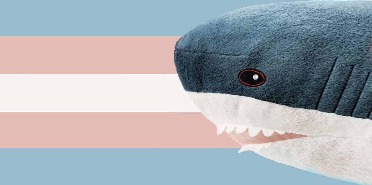 🏳️‍⚧️ Happy Pride Month everyone! 🏳️‍⚧️

Very nervous but I think it's time to finally share I'm trans. (Oh and I'm also pan while we're at it, lol.)

If you could refer to me as they/them or she/her pronouns in the future that would be super appreciated!