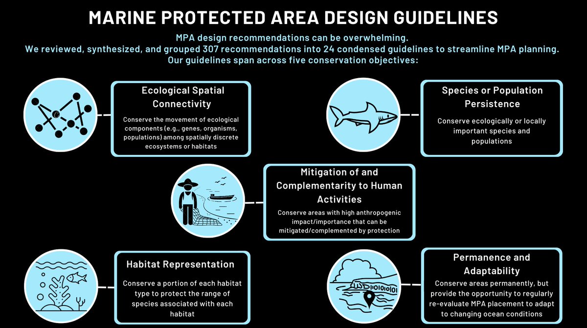 We developed a set of synthesized marine protected area design guidelines to help streamline conservation planning and decision making to achieve desired objectives. Read the paper in <a href="/ConservationSP/">Conservation Science and Practice</a> and check out the summary below 🧵conbio.onlinelibrary.wiley.com/doi/10.1111/cs…