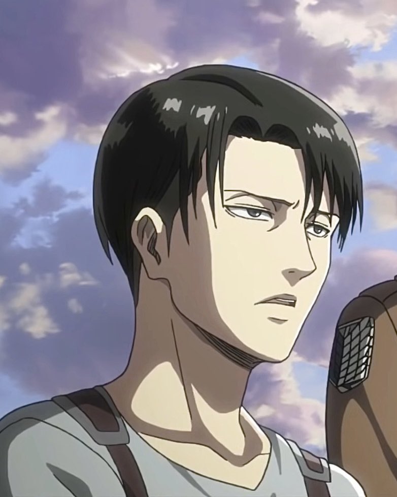 levi archives tweet media