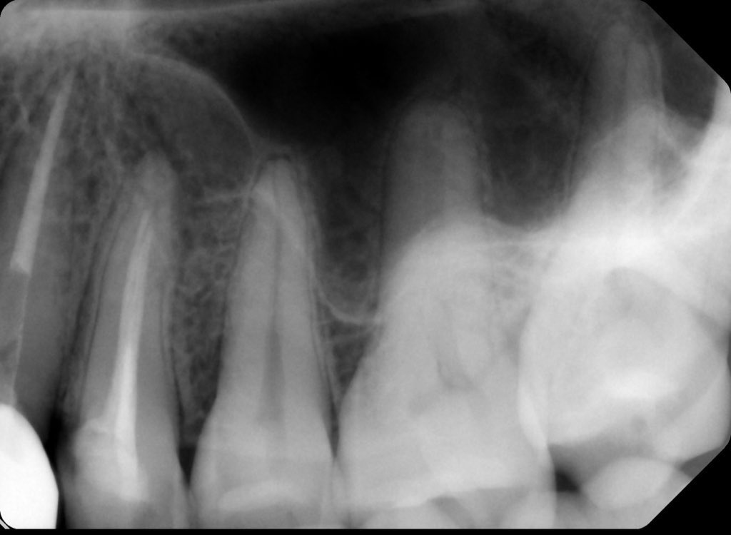 ريما tweet media