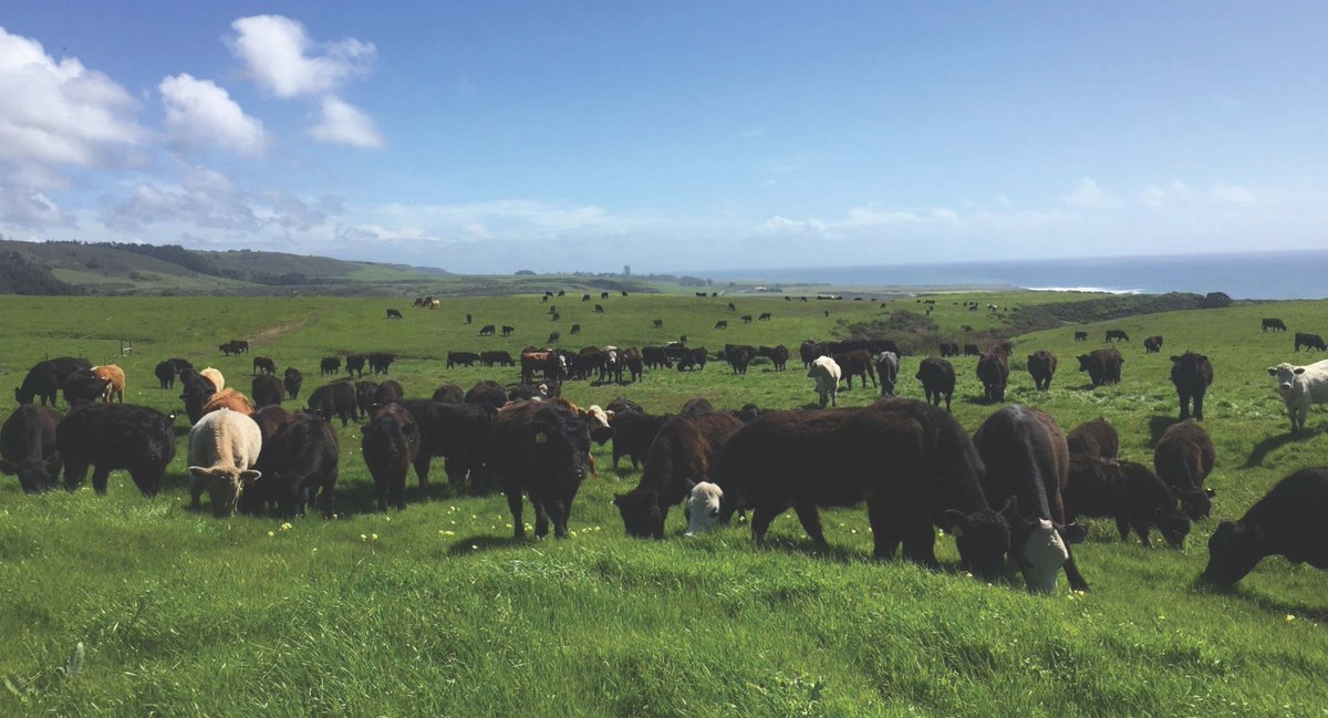 How Do California Rangelands Store Carbon? Join a special webinar with Erika Foster @PointBlueConSci , Stewart Wilson and Yamina Pressler <a href="/CalPoly_CAFES/">CAFES</a> to learn more!  Please register by 6/14 at: spranch.calpoly.edu/Carbon_Storage…