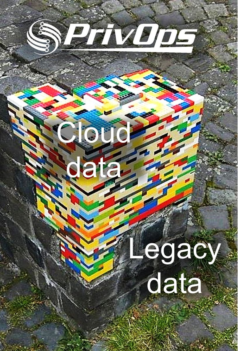 Kit Johnson tweet media