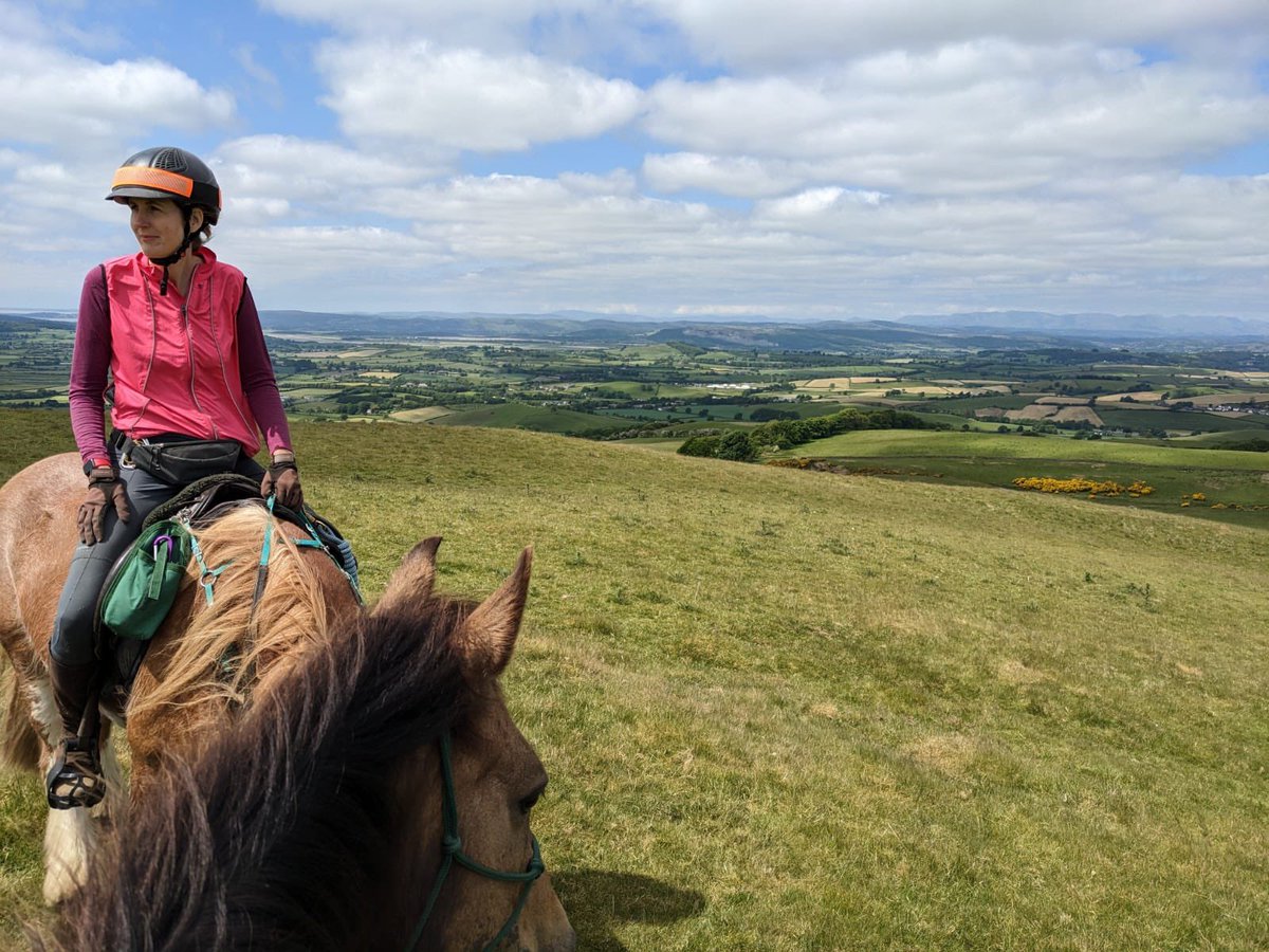 Scout Hill also known a bog mountain was dry enough to cross today. Great views of the Dales, Howgills & Lakes and lovely to hear a #Cuckoo  #horseback #horseHumanBond