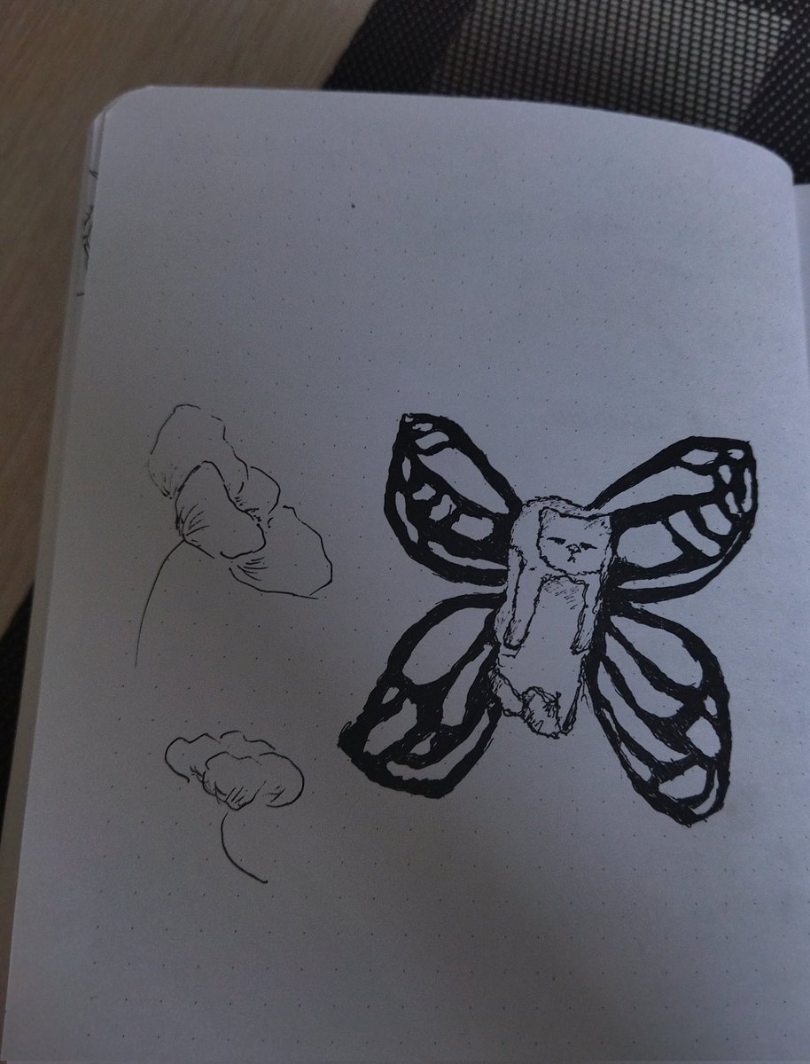 Catflies. Simple sketch. #drawing #sketch #cat #butterfly