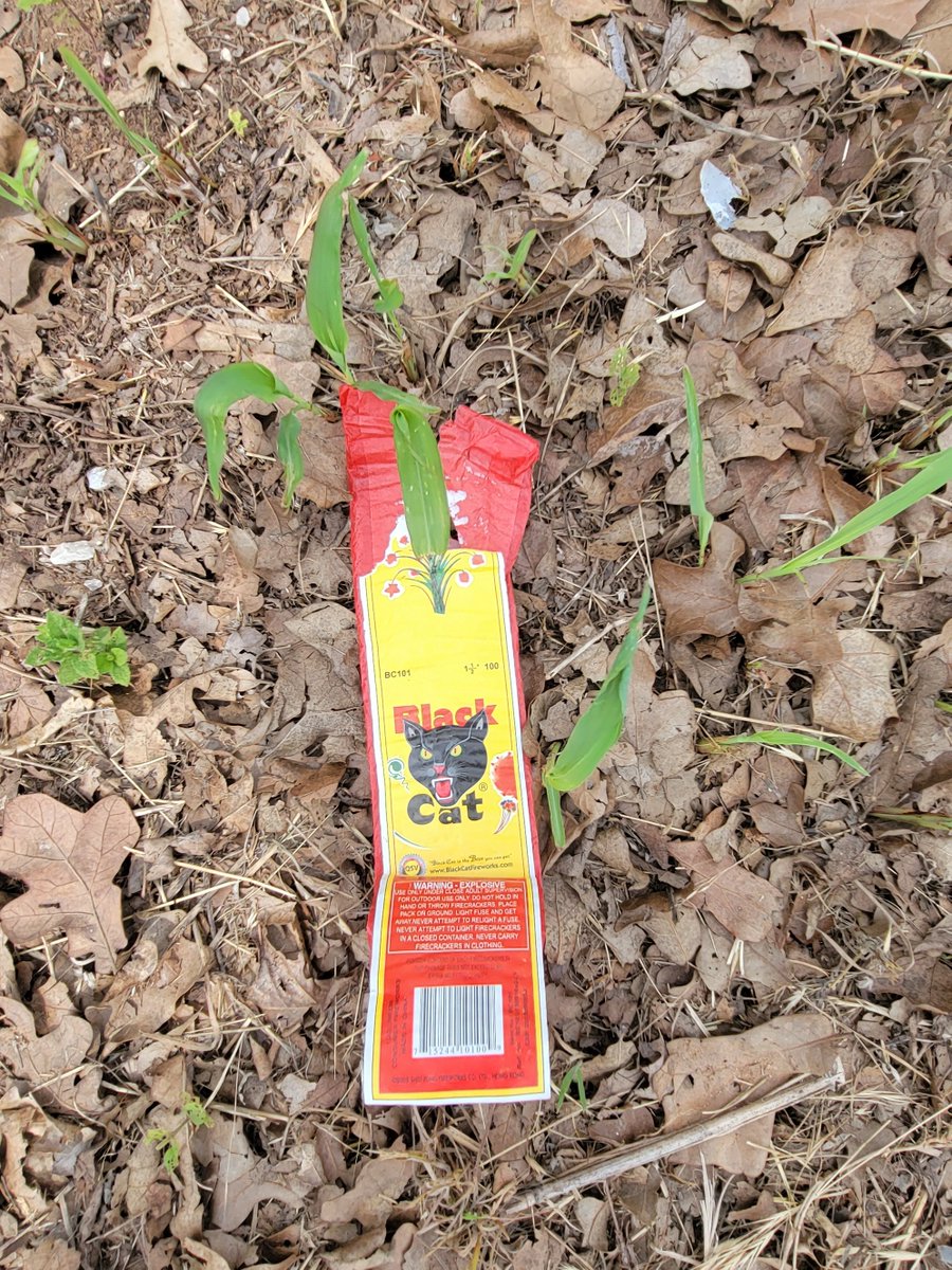 Sheriff Cleveland Co tweet media