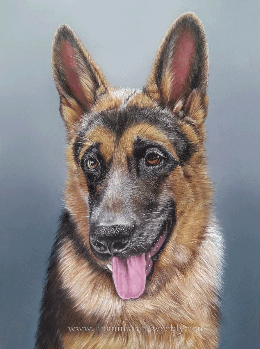 Finished drawing, hope you like it 
- Pastel pencils on Pastelmat paper.
                            --------
#dog #dogs #dogart #dogdrawing
#pet #petartist #petartwork #perro #drawing #drawartist #pencilportrait #pencildrawing #pastel #pastelartist #pastelmat #animalart #animal