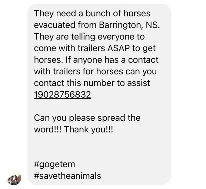 <a href="/HRMFireNews/">Halifax Fire News</a>