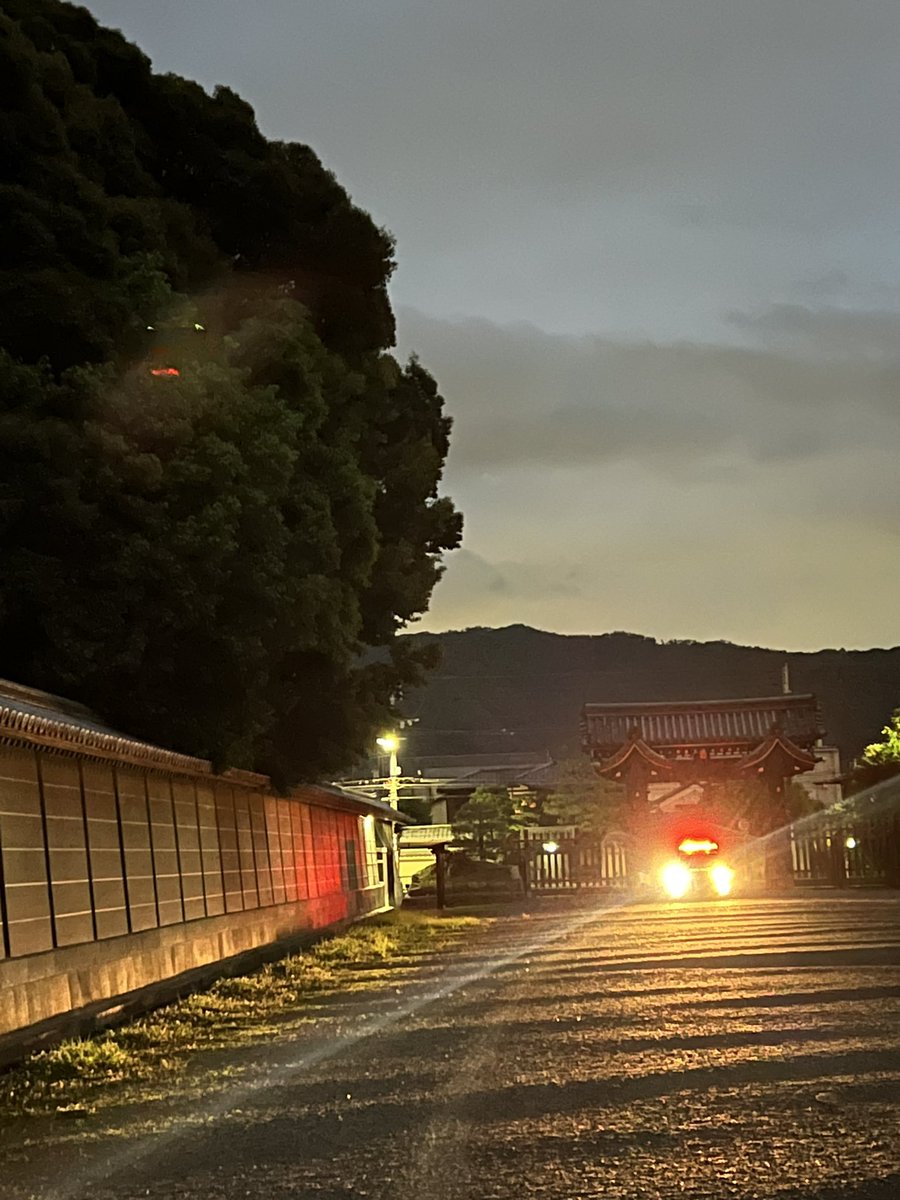 Bronze Age Pervert on Twitter "Danger —detrimental robot police try to