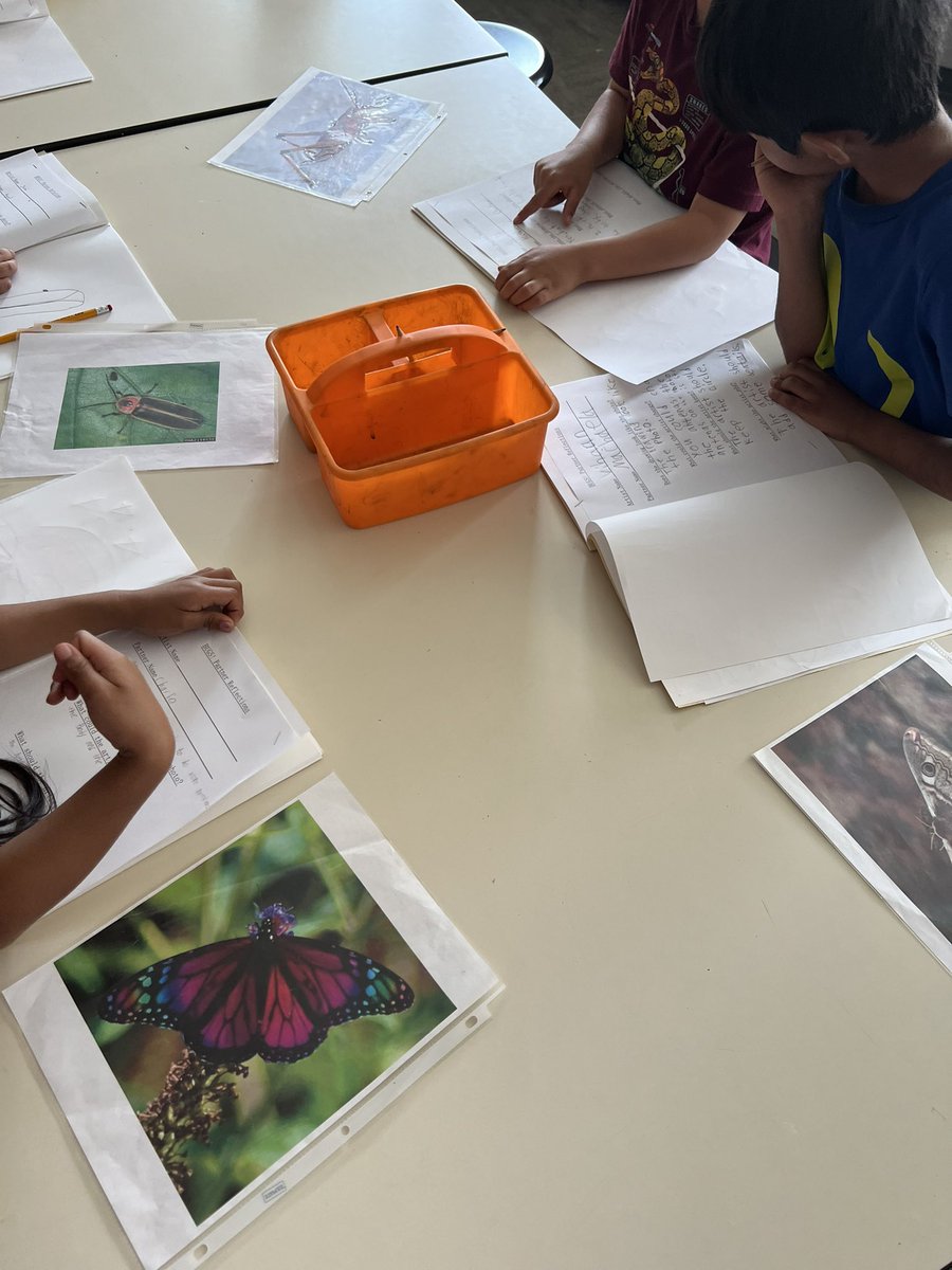 Mrs. Linnea Engles tweet media