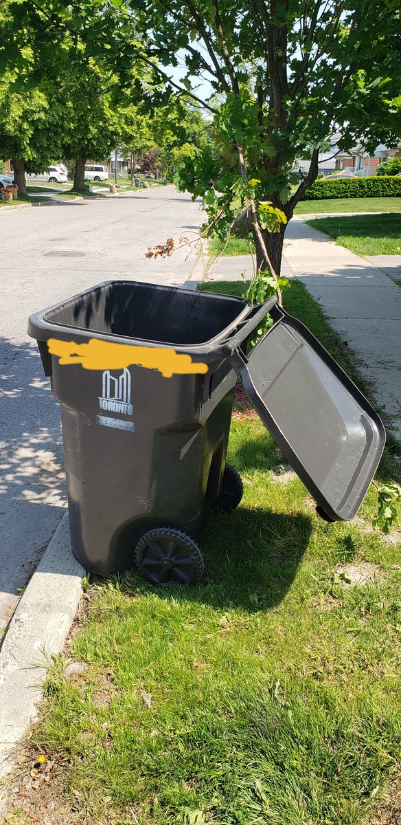 Kevin Edward Proulx on Twitter "Once again, City of Toronto garbage
