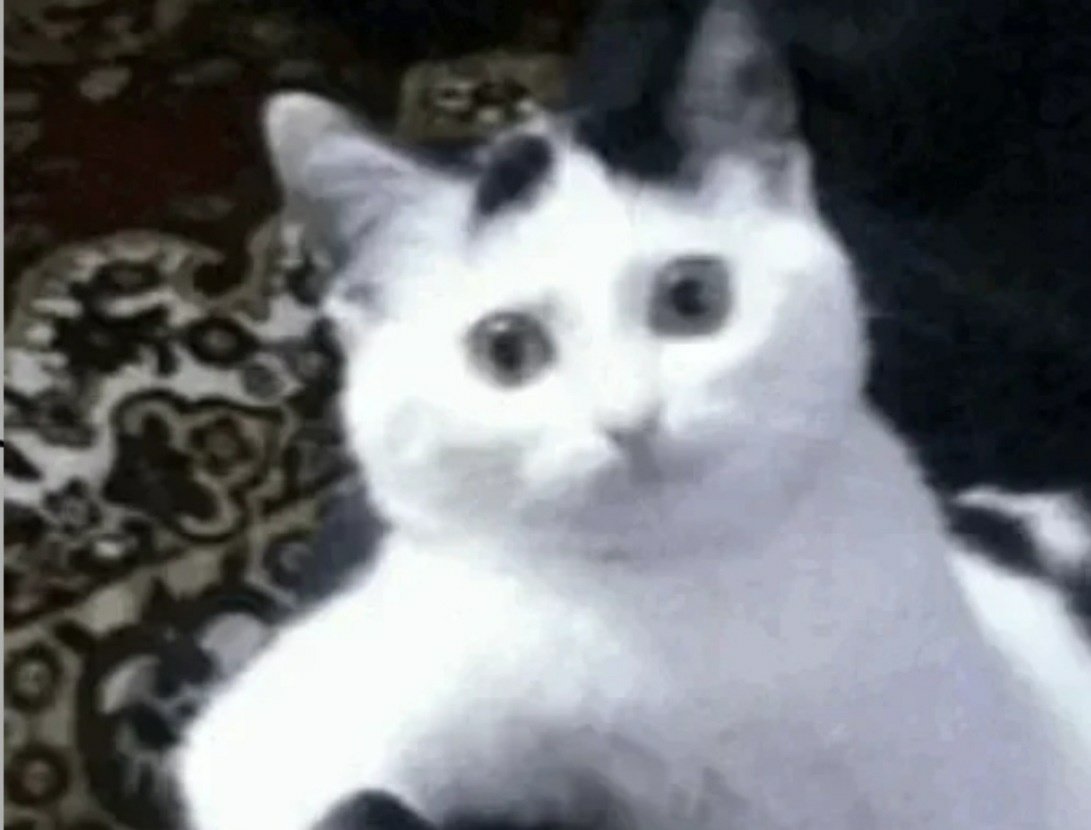 suhocottoni's tweet image. جوری ک همه دارن یکیو پیدا میکنن موقعه کنسلی هواشونو داشته باشه