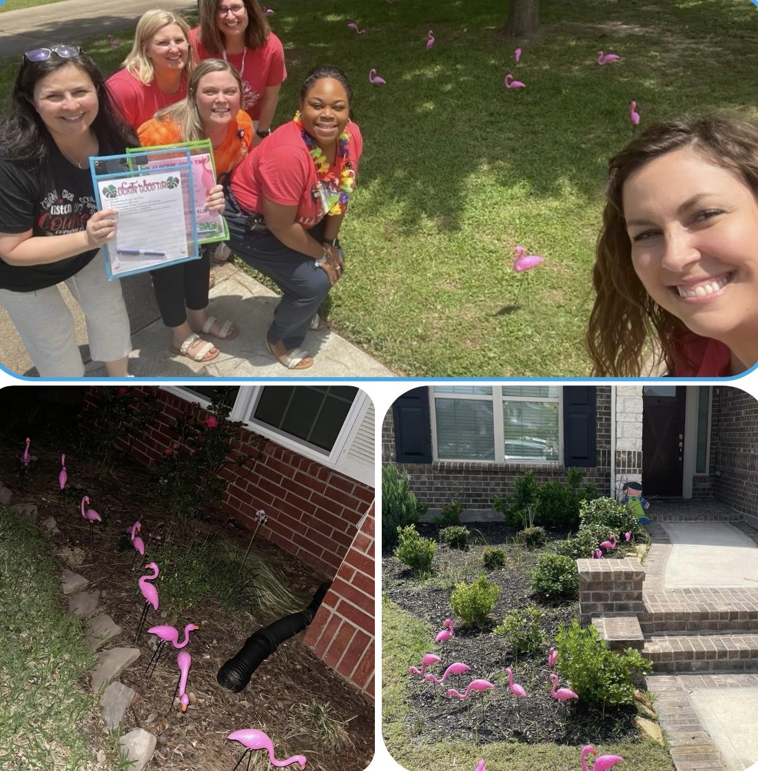 ⁦⁦<a href="/AultElem/">Ault Elementary</a>⁩ has the best FLOCK of teachers, kids, and parents! We are having a blast with this summer fun! #TeamAult