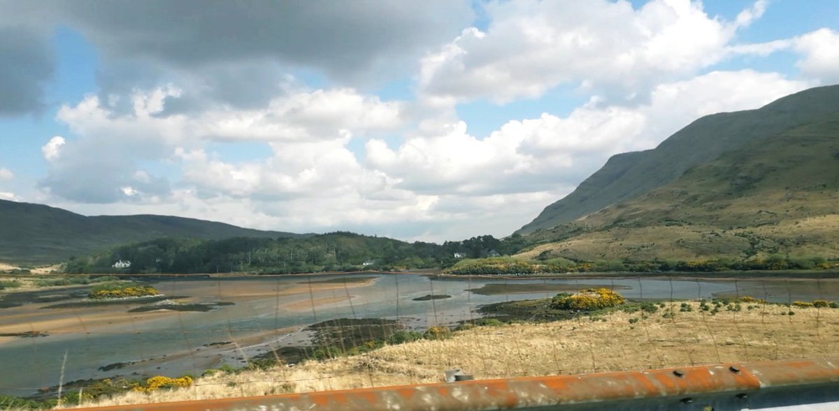 Mar Cafferkey tweet media