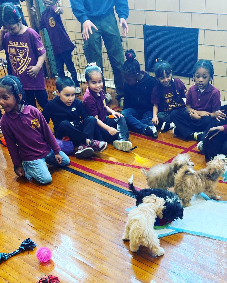 District23Rising tweet media