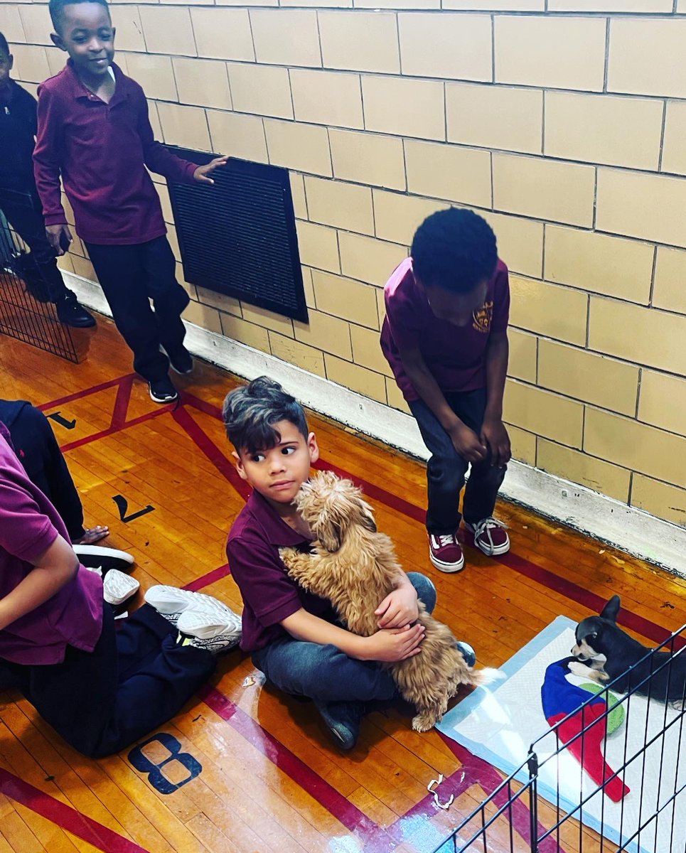 District23Rising tweet media