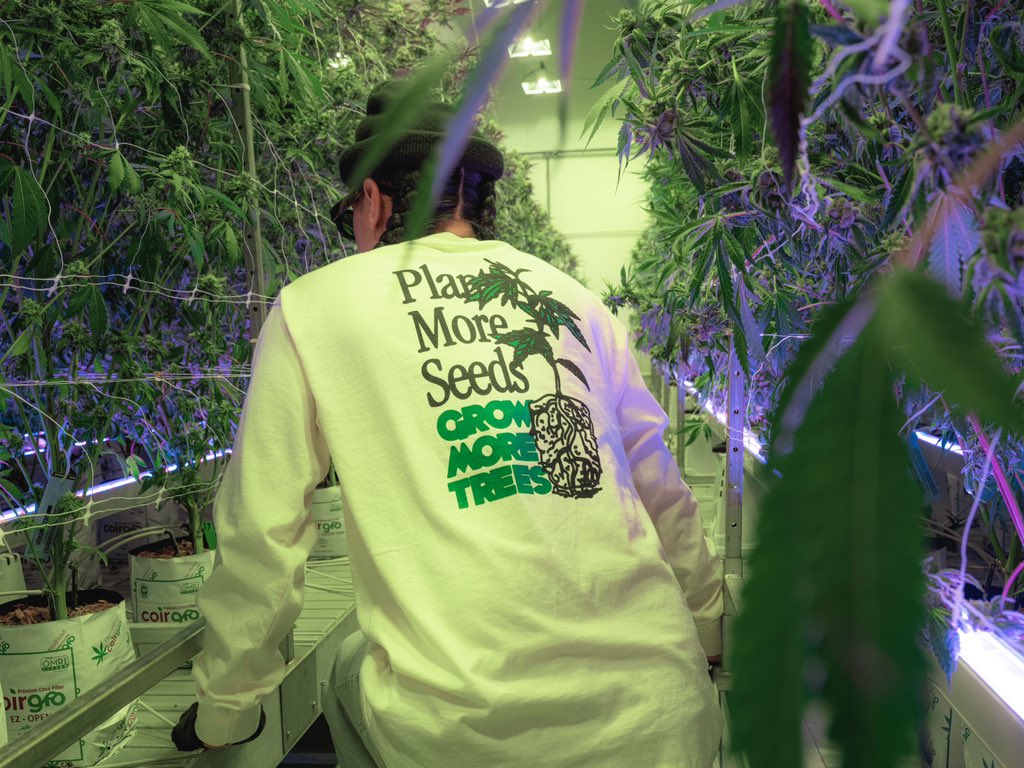 The Smokers Club on Twitter "Plant More Seeds, Grow More Trees… 420