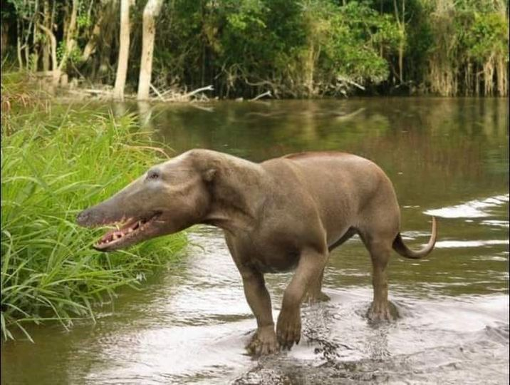 Informa Cosmos tweet media