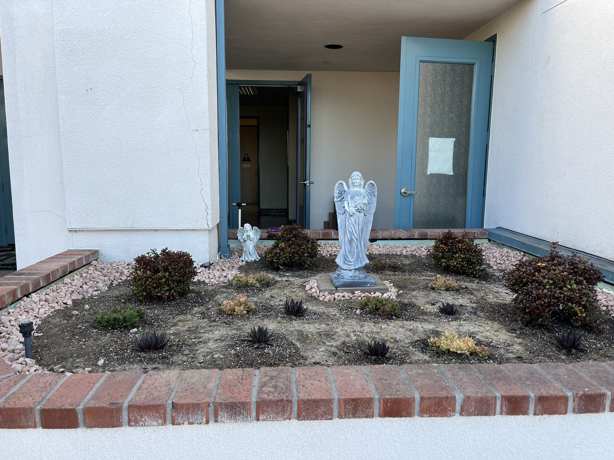 Scouts (former SOM students) worked to revamp existing garden spaces & created these gardens in their place. They also gave facelifts to other garden areas. Thank you, Mitchel, for your leadership & effort in beautifying our school!  #sdcatholicschools #scouts