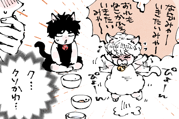🐱キラキラにゃんこ生活 いきたいみゃ〜😺