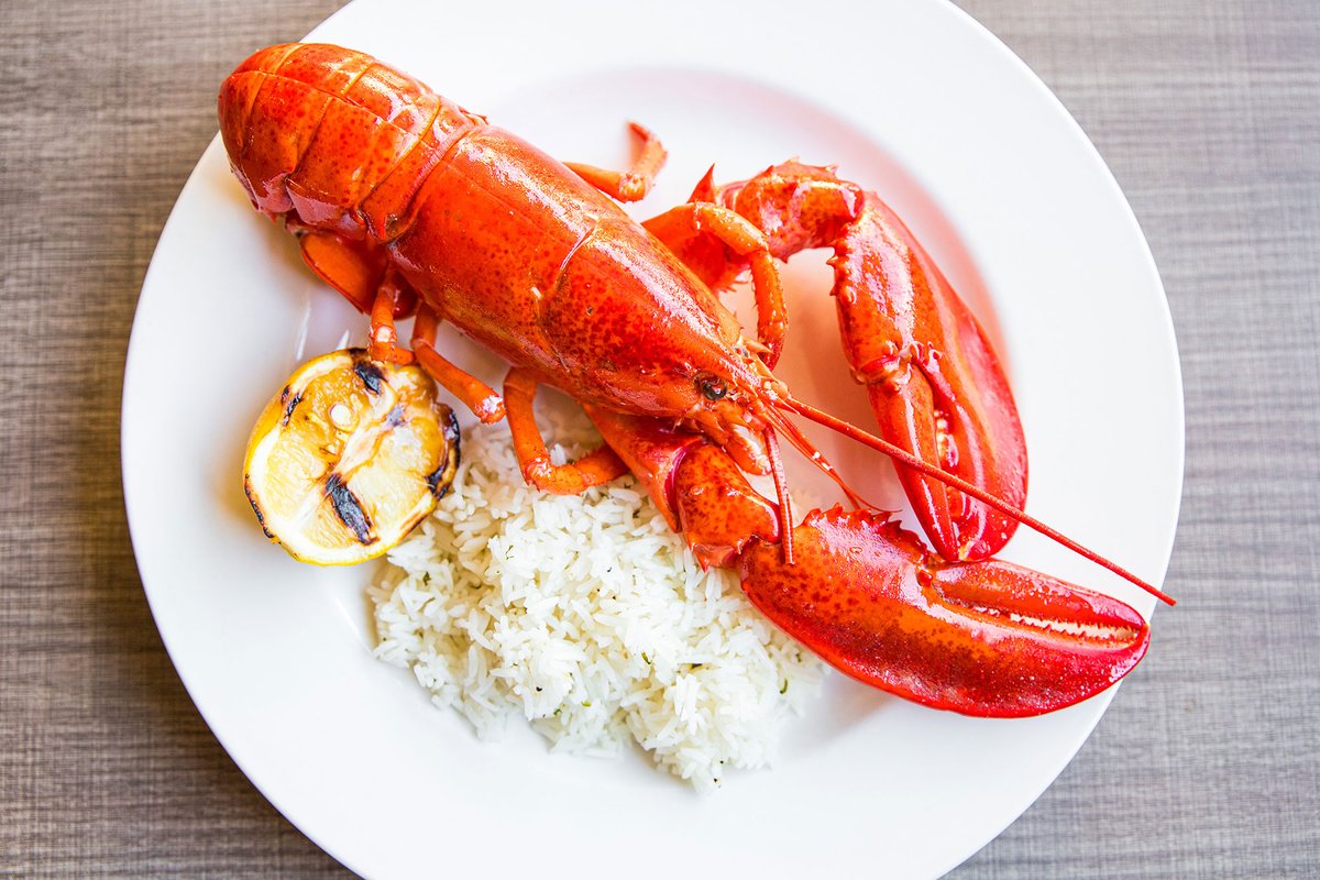 Harley Gray tweet media