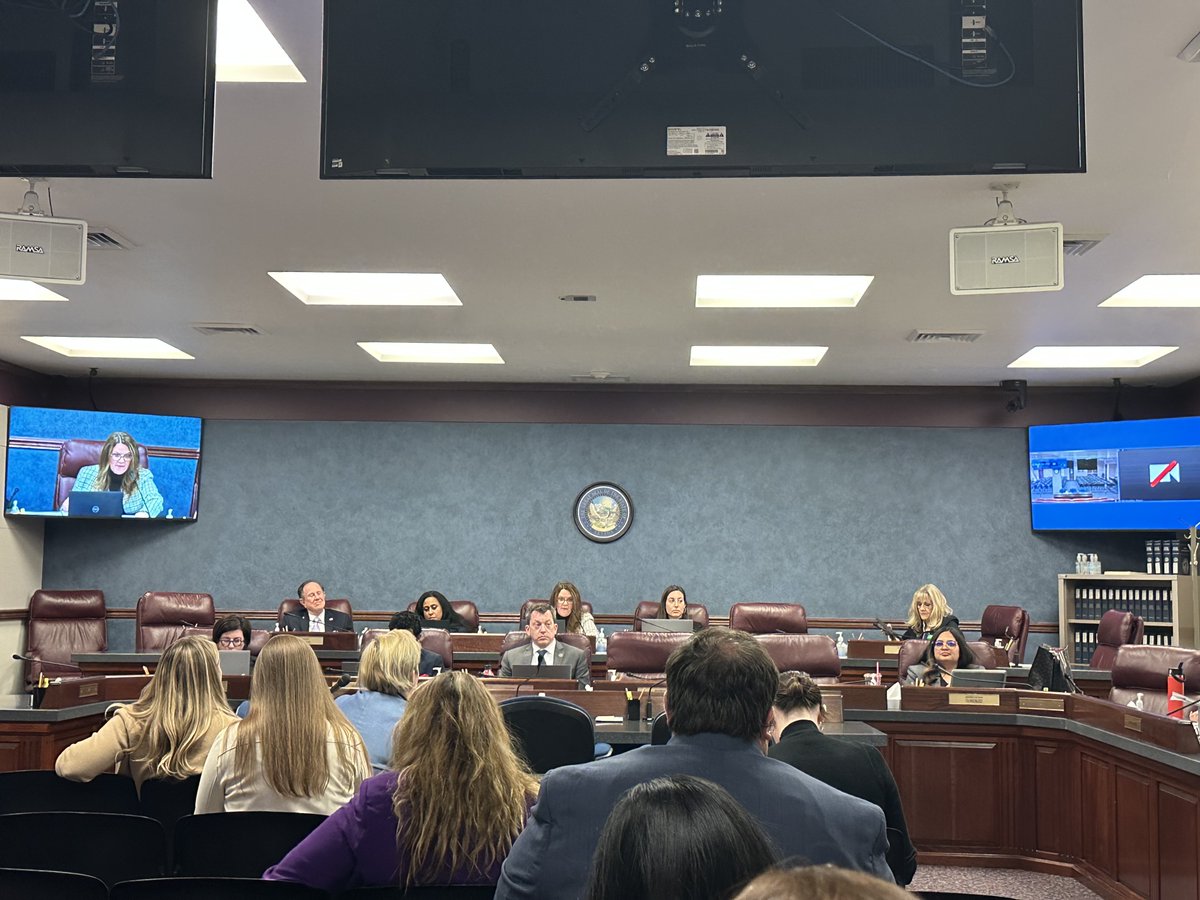 LetNevadaVote's tweet image. Thank you Brian from @BattleBornProg &amp;amp; @escamillabriana for calling in support of #SB443 #NVLeg