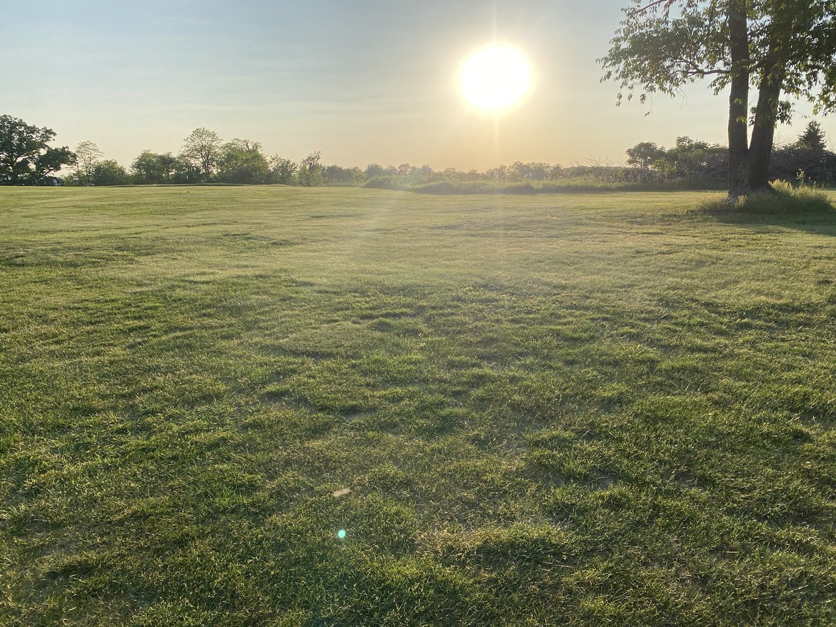 PollioNick's tweet image. I want to show the stark playability difference between a fine fescue stand under drought conditions and a non competitive grass type. Look at weed encroachment between the 2. This turf only receives N!