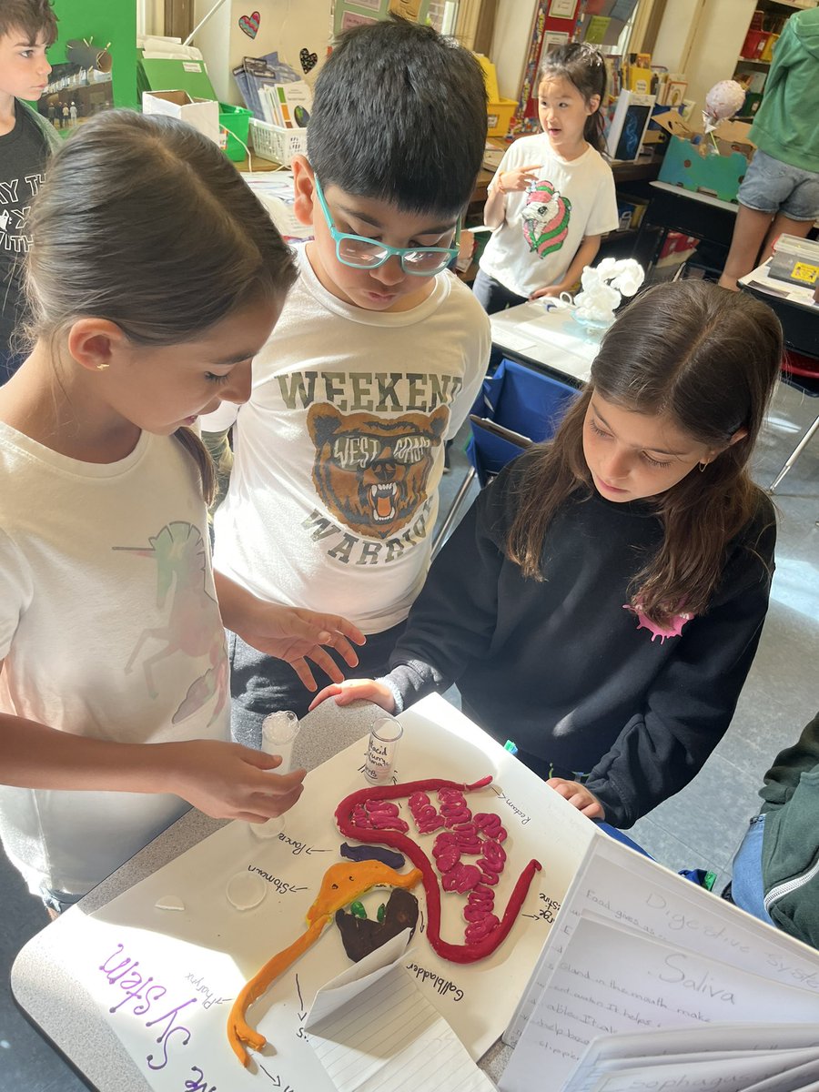 Teri Peragallo tweet media