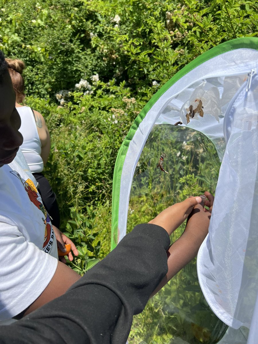 nflaherty10's tweet photo. Butterfly 🦋 release! @LISShines @LTEFNJ @jheller2012 https://t.co/TQZHeP0kkN