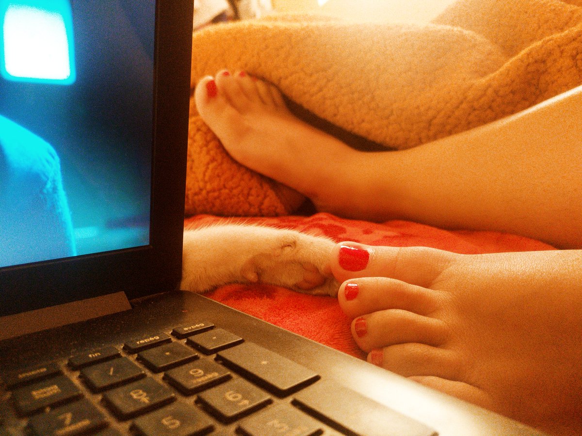 mbdollfeet's tweet photo. Jugando con mi gatito. 🐈🐾
Playing with my kitty. 🐈🐾
👉🏻 https://t.co/vlQbLJXl81 🫦💦🦶🍆🍑🔥
#PiesLatinas #feetfethish #piesdemujer #onlyfansbabe #onlyfanslatinas #onlyfansgirl #feetcontent #pieshermosos #fetiche #feet_pic #Mexico #gatos #kitty #damas #sugarbaby #PiesFemeninos https://t.co/G4NH3QQXIN