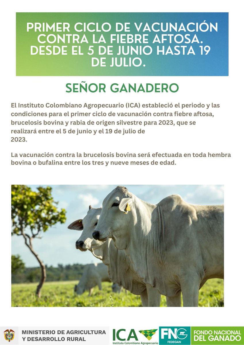 plsantafedeant1's tweet photo. #ConstruyendoGanadería Señor #ganaderos del #occidenteantioqueño recuerde que el ciclo de #vacunacion2023 inicia el 5 de Junio hasta el 19 de julio.
#Comunicate con tu vacunador de la zona y #Programate.
@jflafaurie @Fedegan @ebejicoalcaldia  @alcaldsopetran https://t.co/knMSMADXH2