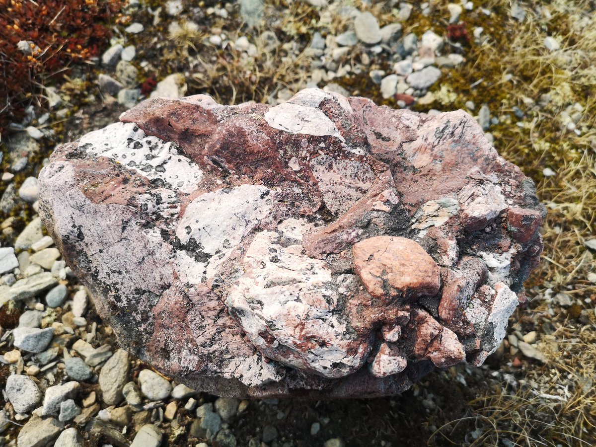 Noel Kaludjak (@shawdiki) on Twitter photo 