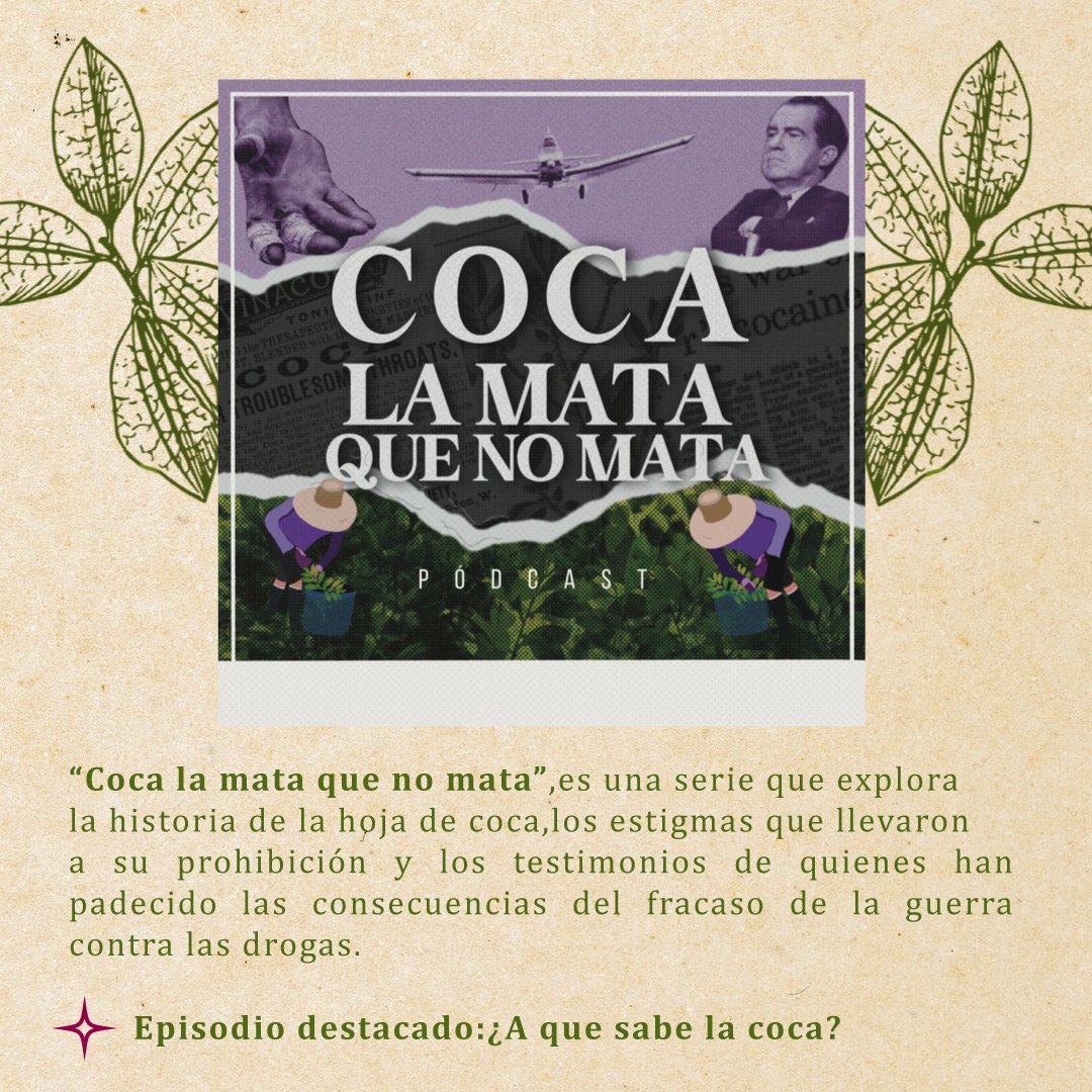 4 Podcast con episodios sobre la hoja de coca y sus procesos de resignificación que pueden escuchar en un ratico.
#podcast #recomendaciones #hojadecoca