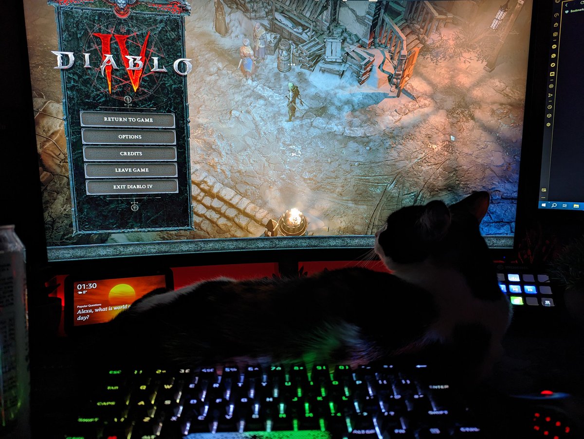 Happy launch, kitty cat approves! #DiabloIV