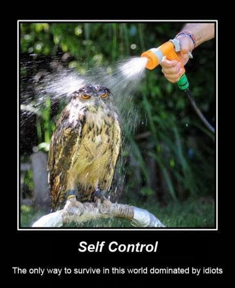 Hey @MantisOmelet  Saw this. Thought of you.  Hang in there. https://t.co/8RgrFAalFk<a class="tags" target="_blank" title="On Twitter" href="/?out=eyJ0eXAiOiJKV1QiLCJhbGciOiJIUzUxMiJ9.eyJpYXQiOjE3MjczNTQ5MjYsImlzcyI6InR3cG9ybnN0YXJzLmNvbSIsIm5iZiI6MTcyNzM1NDkyNiwiZXhwIjoxNzU4ODkwOTI2LCJyZWRpcmVjdF91cmwiOiJodHRwczovL3R3aXR0ZXIuY29tL01hbnRpc09tZWxldCJ9.HWMCJctXoAqzOsyXSiAizkPirq-kwrZQujZeCYD8bN0tPRyB-GtPx3XdkcloV4U3v51Q6RyOm20sAFudPJJdRw">@MantisOmelet</a>