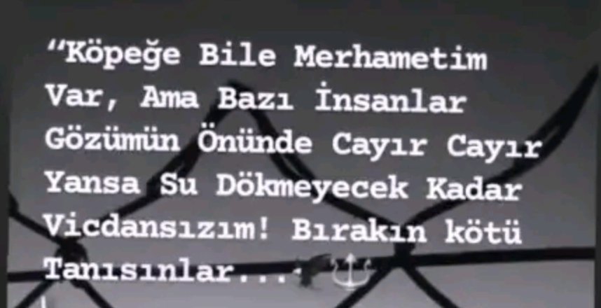 jigololu (@hakimgamze) on Twitter photo 